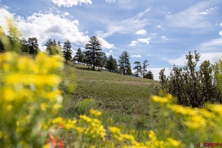 645 Cliff View Dr, Creede, CO 81130