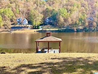 1097 Long Leaf Lake Dr, Helena, AL 35022