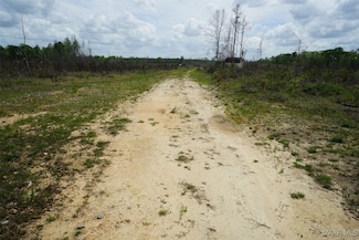 2946 Peake Rd, Ramer, AL 36069