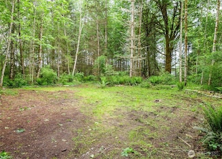 99999 Lakenes Rd, Quilcene, WA 98376