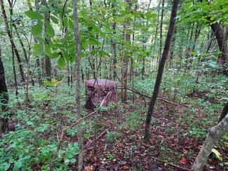 650 Richardson Spur Rd, Summer Shade, KY 42166