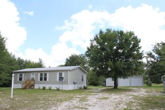1679 NE Gooseberry St, Lee, FL 32059
