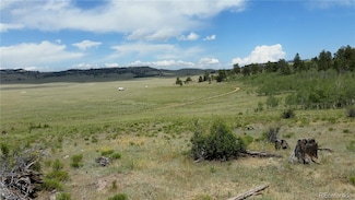 1681 Athapascan Rd, Hartsel, CO 80449