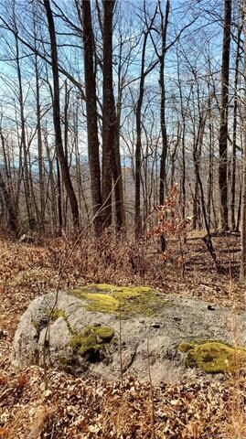 0 Doubleview Dr Unit Lot 11 3689509, Union Mills, NC 28176