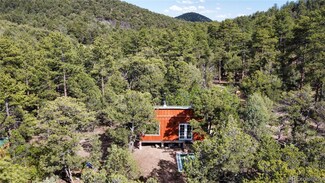 48 Pine Dr, Cotopaxi, CO 81223