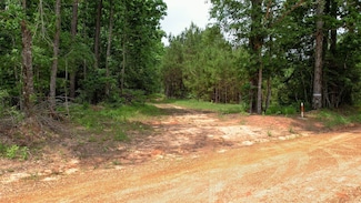 TBD Ben Nelson Rd, Livingston, TX 77351