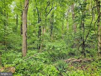 0 Henry Garnett Ave, Aquasco, MD 20608