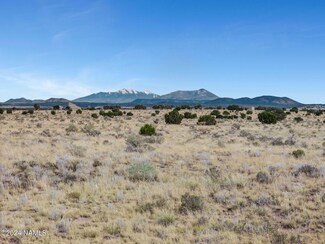 1668 E Mission Dr, Williams, AZ 86046