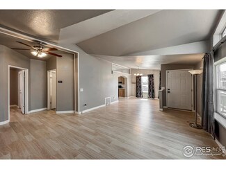 3916 Hayes Ave, Wellington, CO 80549