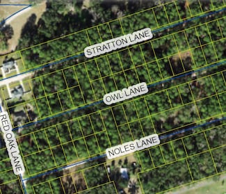 XX Owl Ln, Crawfordville, FL 32327