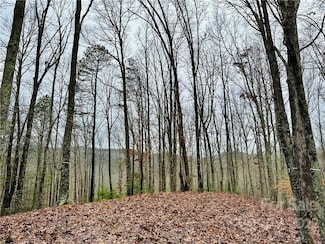 921 Wild River Run Unit 33, Marshall, NC 28753