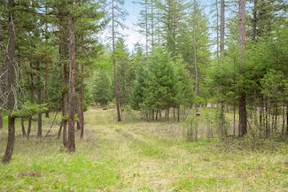 Nhn Bowdish Rd, Kalispell, MT 59901