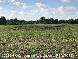 0 Mcclellan Rd Unit 237155, Springport, MI 49284