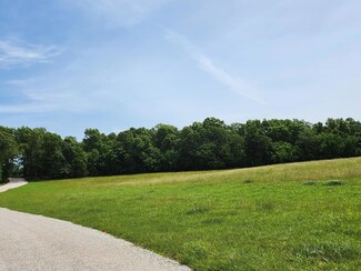 Lot 13 N Farm Road 61, Walnut Grove Township, MO 65770