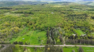 767 Green Rd, Alfred, NY 14803