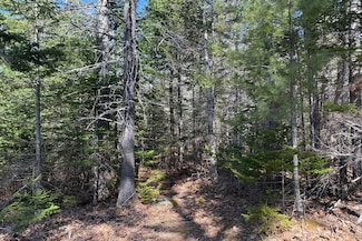 000 Hartwood Way, Mount Desert, ME 04660