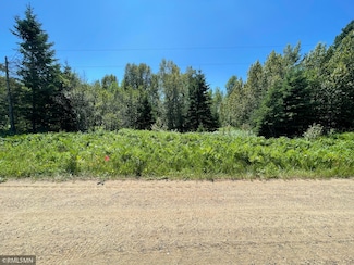 TBD 70th St, Remer, MN 56672