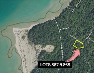 TBD Allen's Lakeview Rd Unit Lots 867 & 868, Beaver Island, MI 49782