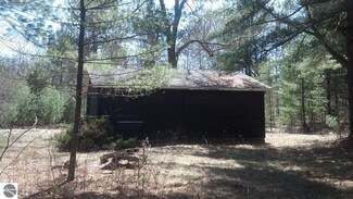 963 W Jose Rd, Twining, MI 48766