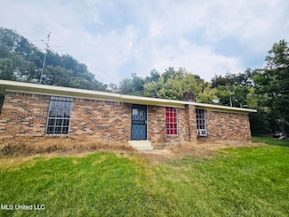 110 Old Tchula Rd, Lexington, MS 39095