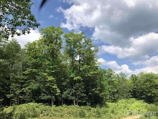 Lot G Maple Wood Ln, Gwinn, MI 49841