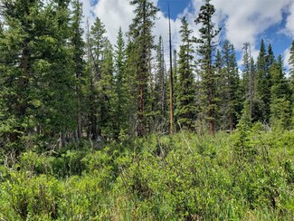 585 Porcupine Rd, Fairplay, CO 80440