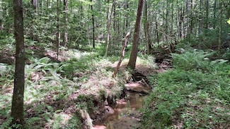 Tract 27 Airport Rd - Piney Creek Acres, Rockwood, TN 37854