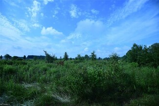 0 Tallmadge Rd Unit 4021548, Rootstown, OH 44272