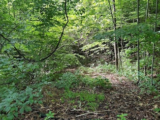 Lot 50 Grand View Estates Dr, Whittier, NC 28789