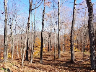 0 Chunks Brook Rd, West Arlingtn, VT 05250