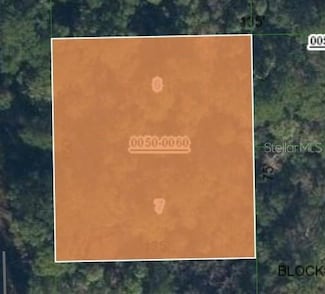 170 Possum Walk Rd, Satsuma, FL 32189