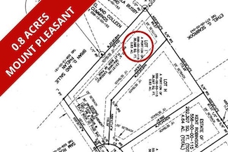 0 Lucys Ln Unit 24029805, Mount Pleasant, SC 29466