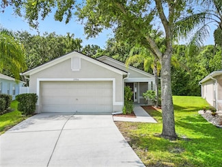 25906 Terrawood Loop, Land O Lakes, FL 34639