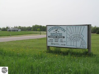 Lot #1 S Hemlock St Unit 1, McBain, MI 49657