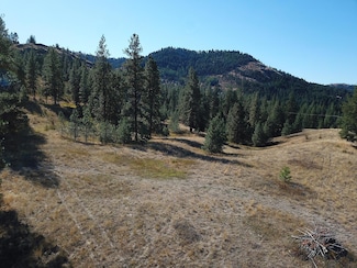 68 Jostin Ln, Malo, WA 99150