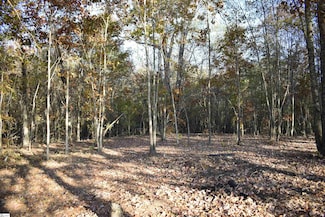 0 Highway 414 Unit 1574147, Taylors, SC 29687