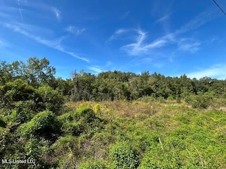 Lot 4 Hope Ln, Pass Christian, MS 39571