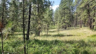 Lot 1 Glen Grove-Staley Rd, Deer Park, WA 99006