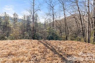 28 Trillium Ln Unit C-1, Black Mountain, NC 28711