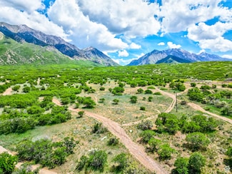 1500 S 5200 W, Santaquin, UT 84655