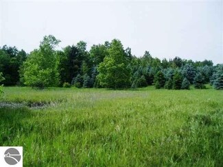 Parcel C Pierce Rd, Kingsley, MI 49649