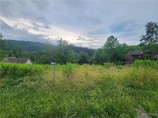 6843 Springs Rd, Ellicottville, NY 14731