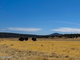 58 & 136 County Rd, Concho, AZ 85924