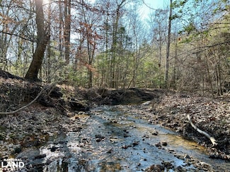 0 Ararat Rd Tract B, Toxey, AL 36921