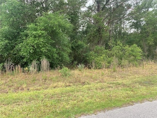 525 Live Oak Loop, Crescent City, FL 32112