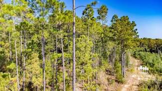 XX1 Griffin Ln, Bonifay, FL 32425