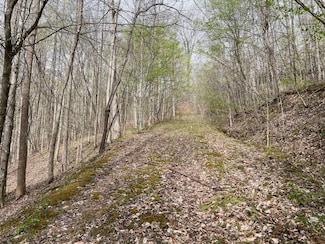 0 O Brion Rd, Duck, WV 25063