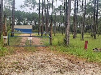 15479 Green Dr, Coden, AL 36523