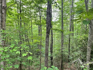 Lt 279 Cabin Flats Rd Unit 279, Balsam, NC 28707