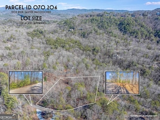 0 Doe Run Unit LOT 4 R 20169249, Sautee Nacoochee, GA 30571